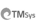 TMSys